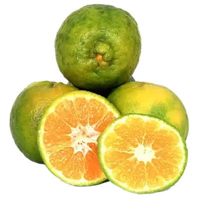 fresho! Orange - Nagpur, Regular (Loose), 500 g
