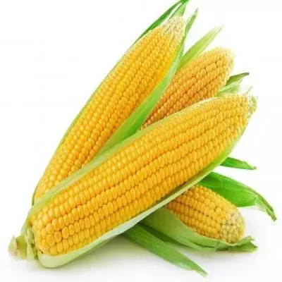 Starfresh Sweet Corn